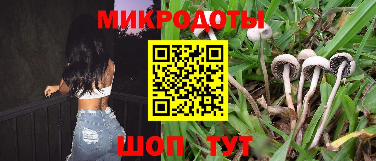 Севастополь  Псилоцибиновые грибы ЛСД  Вход с VPN  Галлюциногенные грибы Psilocybine cubensis 