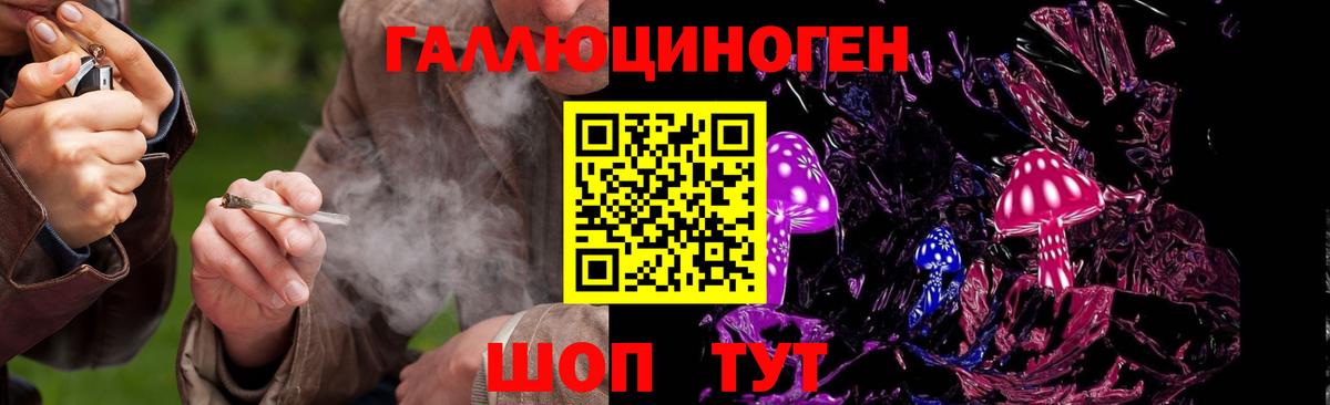 Галлюциногенные грибы Psilocybine cubensis Севастополь